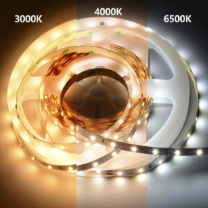 Outdoor Waterproof RGBW LED Strip 24V SMD 2835 LED Strip Light